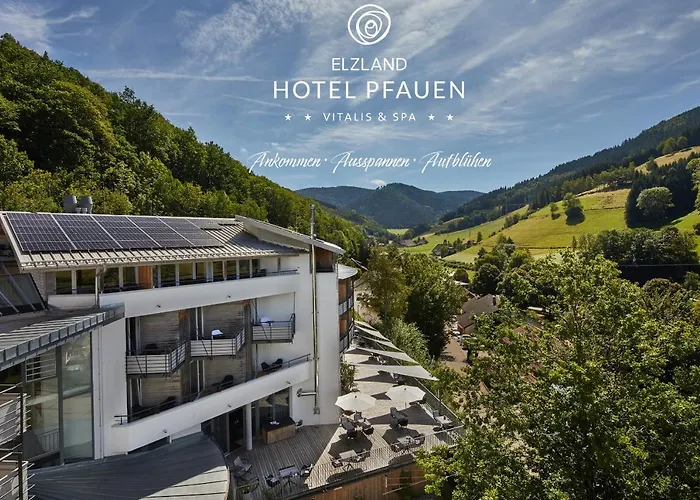 Elzland Hotel Pfauen Wellness & Spa Elzach photo