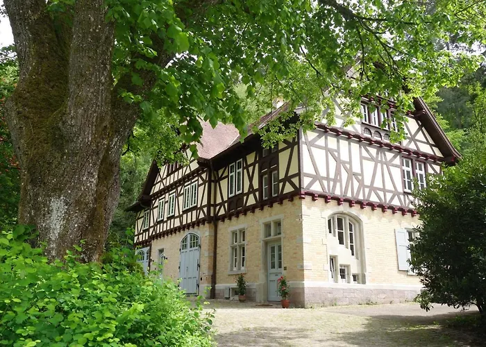 Bed & Breakfast Gruenes Gold Am Leisberg Baden-Baden photo
