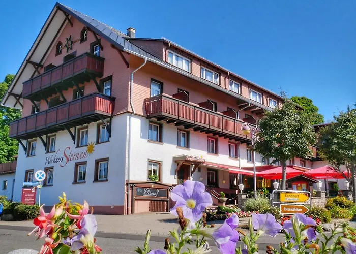 Wochner'S Hotel-Sternen Am Schluchsee Hochschwarzwald photo