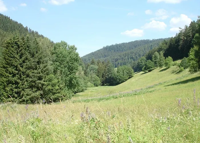 Hotel Zum Hirsch Pfalzgrafenweiler Foto
