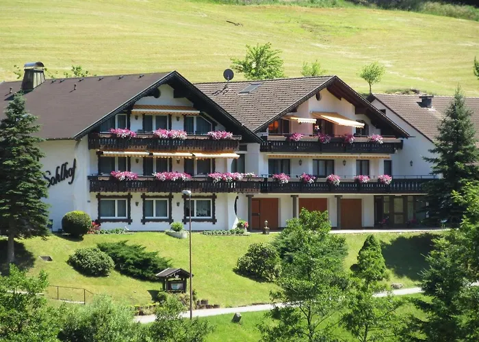 Pension Sohlhof Baiersbronn photo