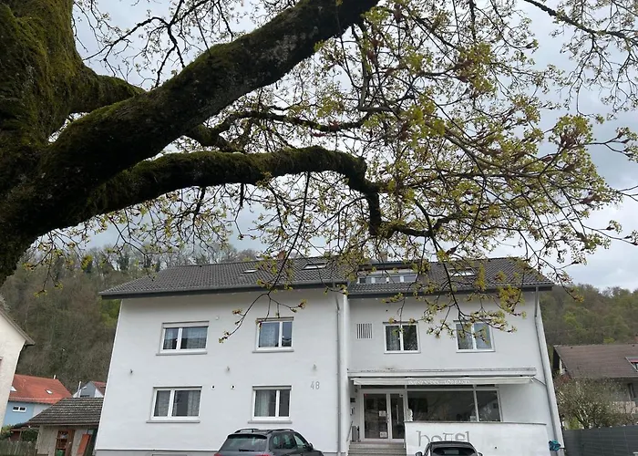 Burghotel Lorrach photo