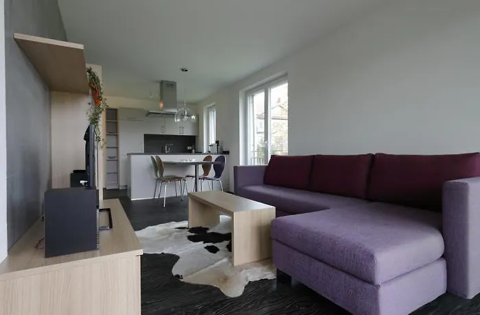 Hewen Apartments Engen photo