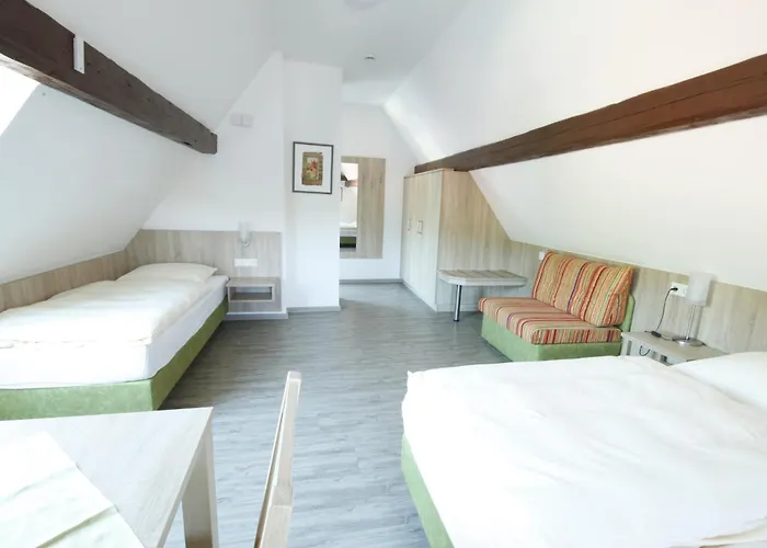 Hotel Wirtshaus am Treidelpfad Haßmersheim Foto