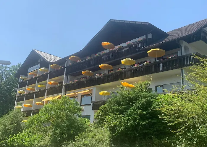 Hotel Schauinsland Bad Peterstal-Griesbach photo