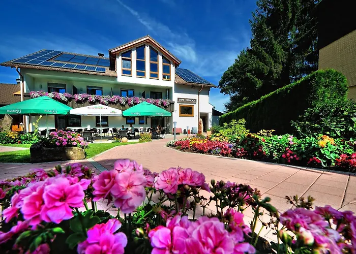Wellness-Hotel Talblick Schoemberg  photo
