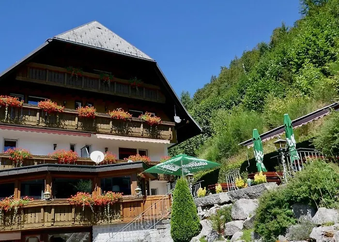Hotel Silberfelsen Menzenschwand photo