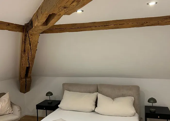 Erholungsloft Apartment Bad Buchau photo