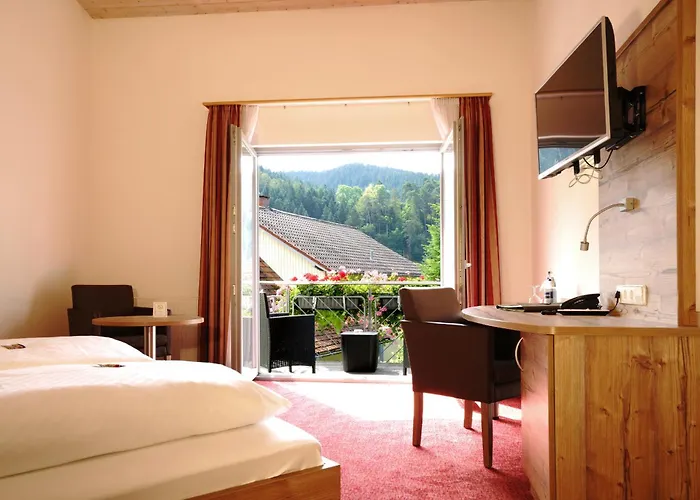 Hotel Waldblick Schenkenzell foto