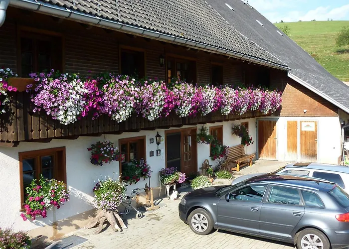 Biobetrieb Lippenhof Villa Breitnau photo