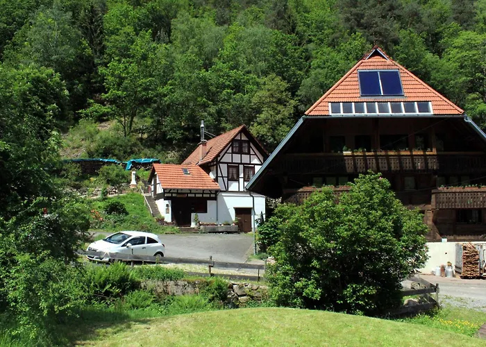 Separates Ferienhaus Speicherhaeusle Auf Dem Hasenhof Mit Eigener Terrasse Mit Grill, Kachelofen, Wlan Hornberg photo