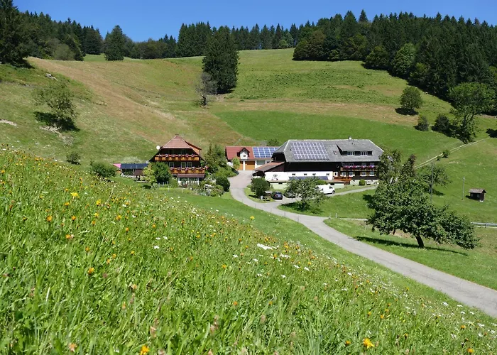 Ferienwohnung Auszeit -Gipfhof- Obermunstertal photo