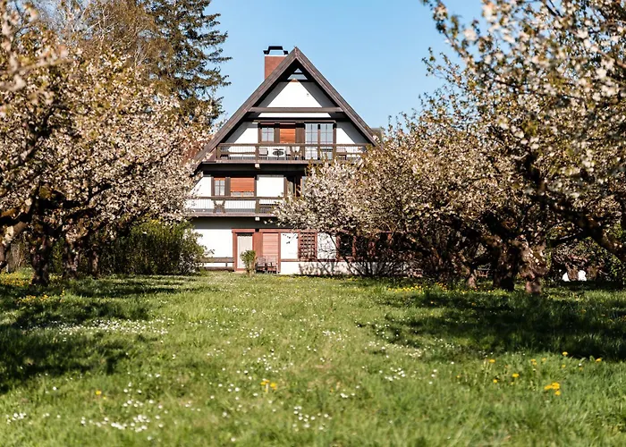 Gaestehaus Obsthof Gottenheim photo