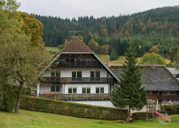 Ferienwohnung Steinebrunner 토트나우 사진