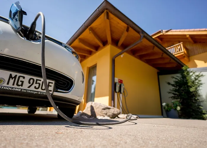 Sapia Hotel St. Fridolin 巴特塞京根照片