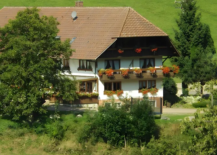 Apartamento Schüsselehof Elzach foto