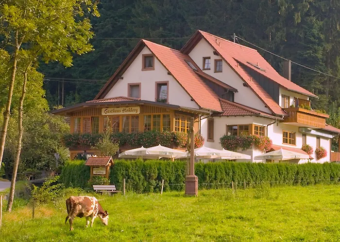 Gasthaus Hohberg Durbach fotoğrafı