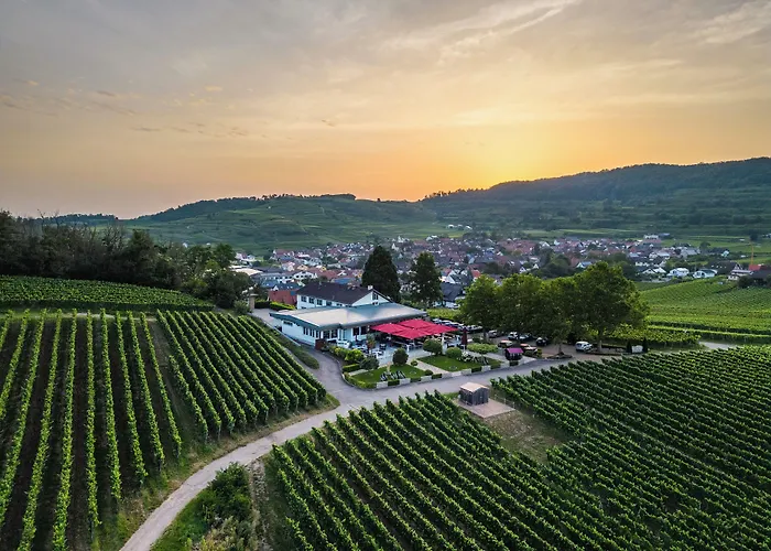 fotos do Koepfers Steinbuck Hotel Bischoffingen