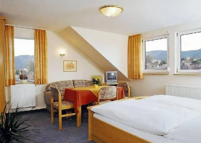 Hartmann Otel Neuffen fotoğrafı