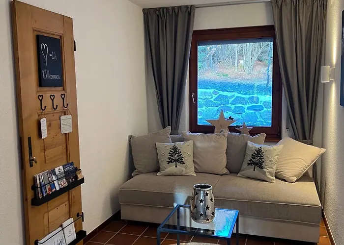 Haus Galerie St Blasien St. Blasien photo