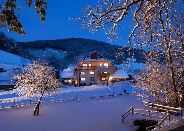 foto di Hotel Schaetzlehof Winden im Elztal