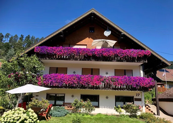 foto di Appartamento Haus Hubertus Enzklösterle