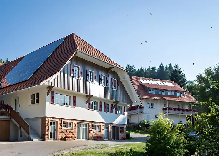 Schornhof Apartment Oberwolfach photo