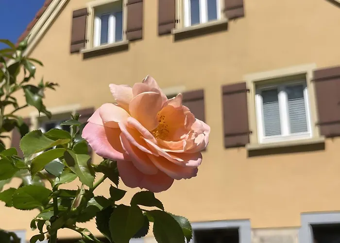 Photo de Appartement Alte Schmiede Ellrichshausen 2 à Satteldorf