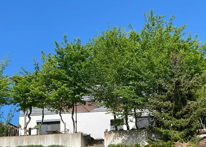 Sweetsuites 40A Lavendelhaus ミュールハウゼンの写真