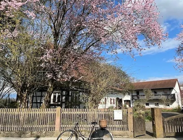 Gaestezimmer Flora Hanauerland - Kunst & Natur Nahe Strassburg Kehl zdjęcie