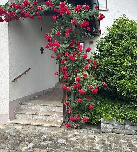 BodenseeGlück - Dein Rückzugsort am Bodensee Radolfzell am Bodensee Foto