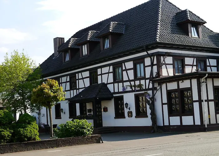 Hotel Zum Schwan Hugelsheim photo