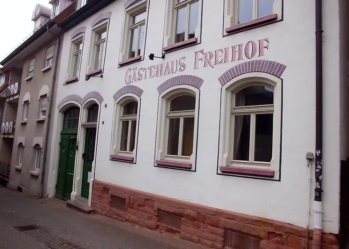 Hotel Freihof Wiesloch photo