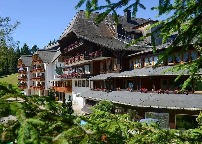 Hotel Schoene Aussicht Hornberg photo