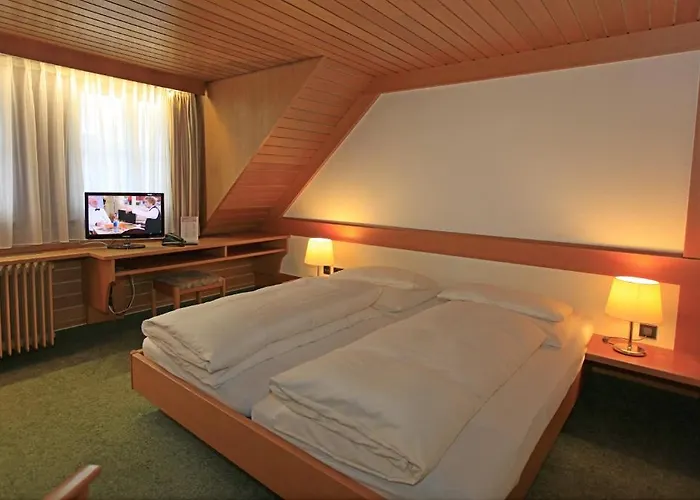 Waldshuter Hof Hotel photo