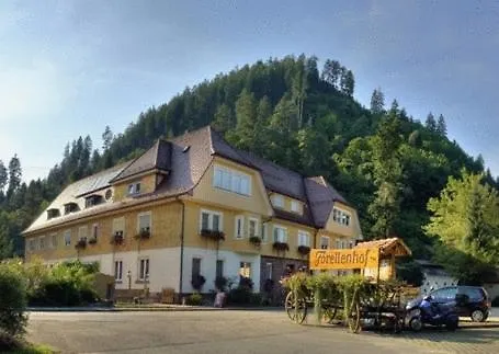 Hotel Teinachtal Bad Teinach-Zavelstein photo