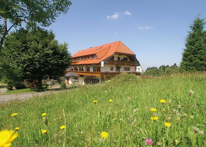 Hotel Zum Breitenberg Bad Peterstal-Griesbach photo