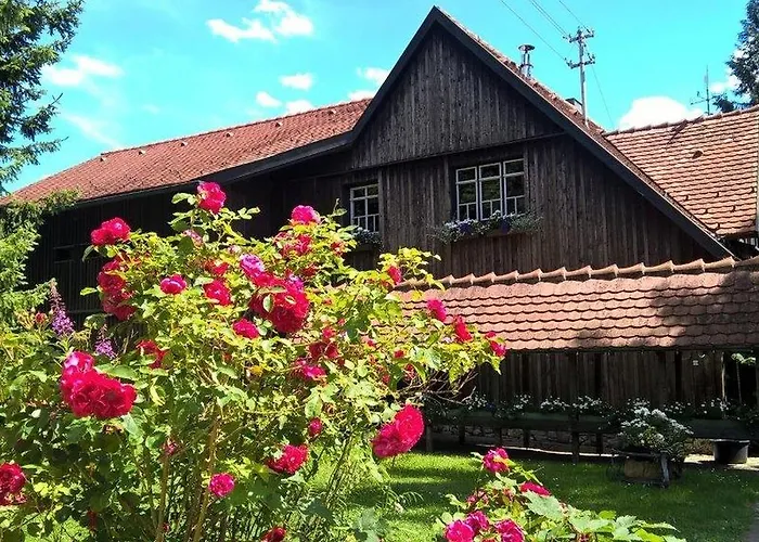 Albler-Nest Auf Hofgut Kuche Apartment Burladingen photo