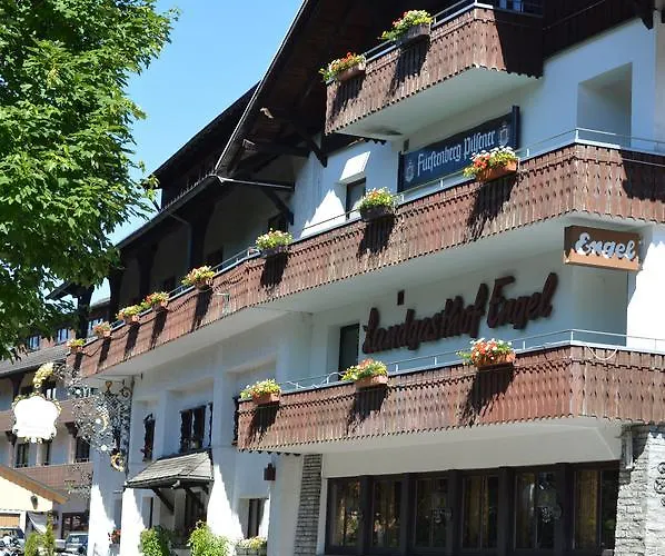 Alemannenhof Hotel Engel Rickenbach  photo