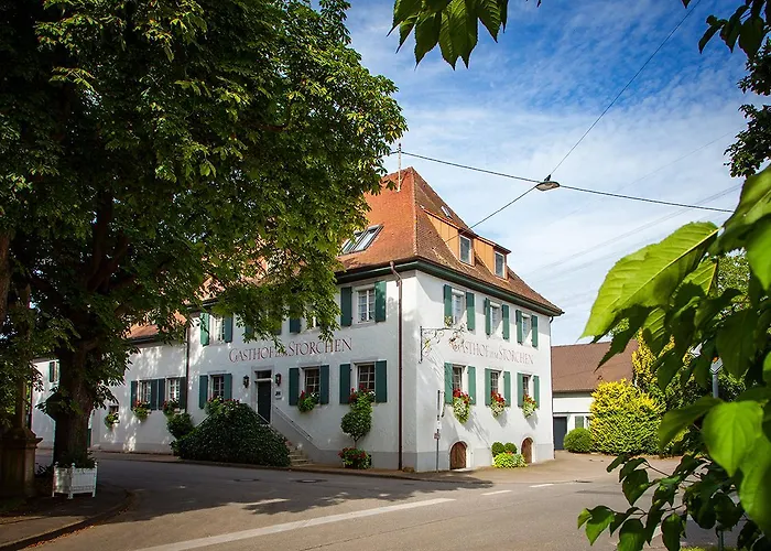 Storchen Restaurant Hotel Bad Krozingen photo