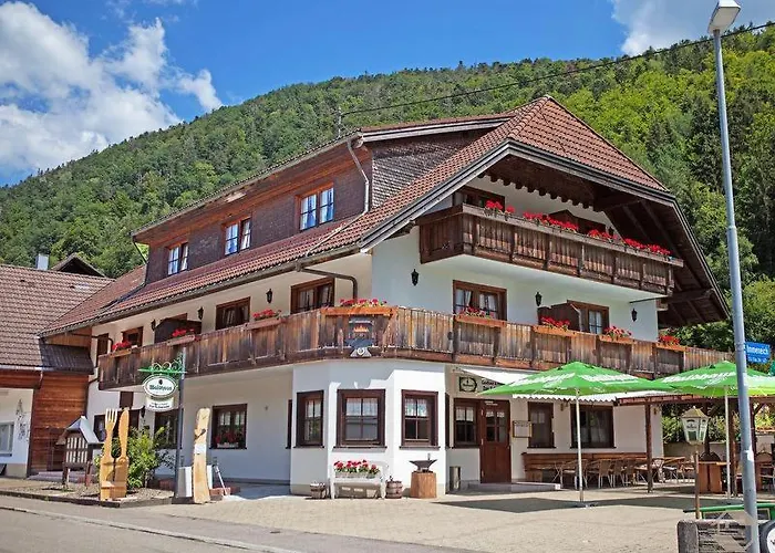 Pension Gasthaus Zur Schmiede Dachsberg im Schwarzwald photo