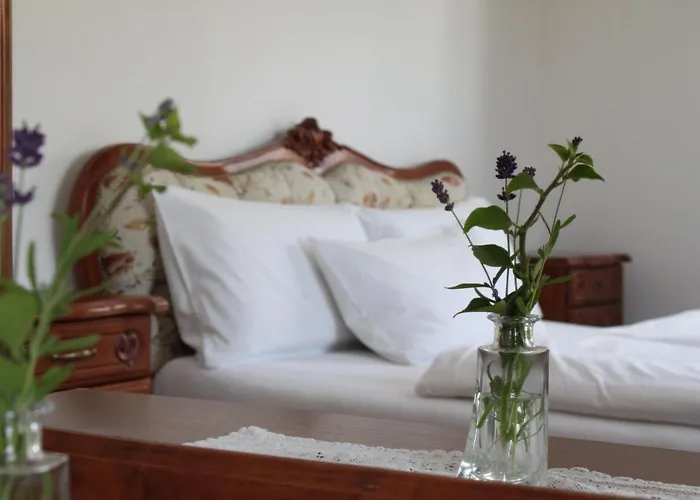 Hotel Viktoria Meersburg photo