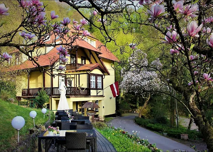 Lettisches Haus Hotel Gundelfingen  photo