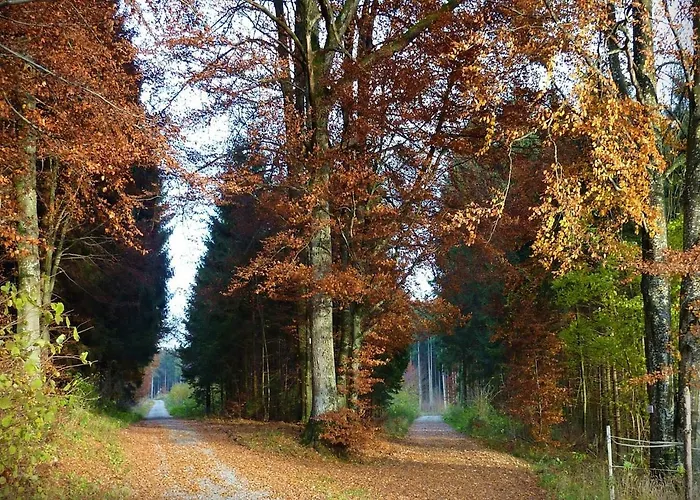 Fuchsenlohe Hotel Schlier foto