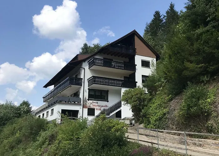 Pension Schwarzwaldblick Hornberg photo