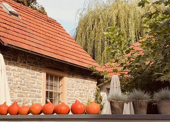 辛斯海姆 Der Gruene Baum酒店照片