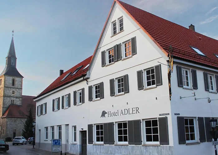 Hotel Adler Bad Friedrichshall photo